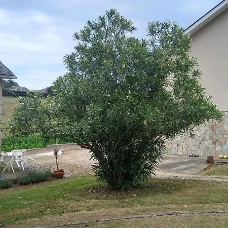 بيت للعطل Casa Pipela *